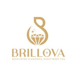 Portfolio 5 Brillova