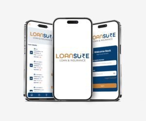 Portfolio 47 Loansure app 1
