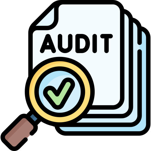 audit 4308094
